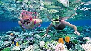 Coral Reef Family Tour